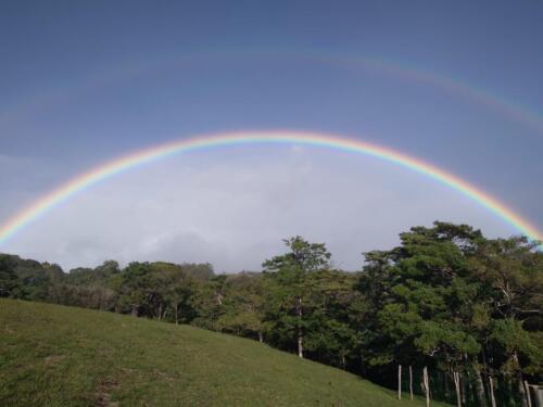 20250417 RegenbogenGarten